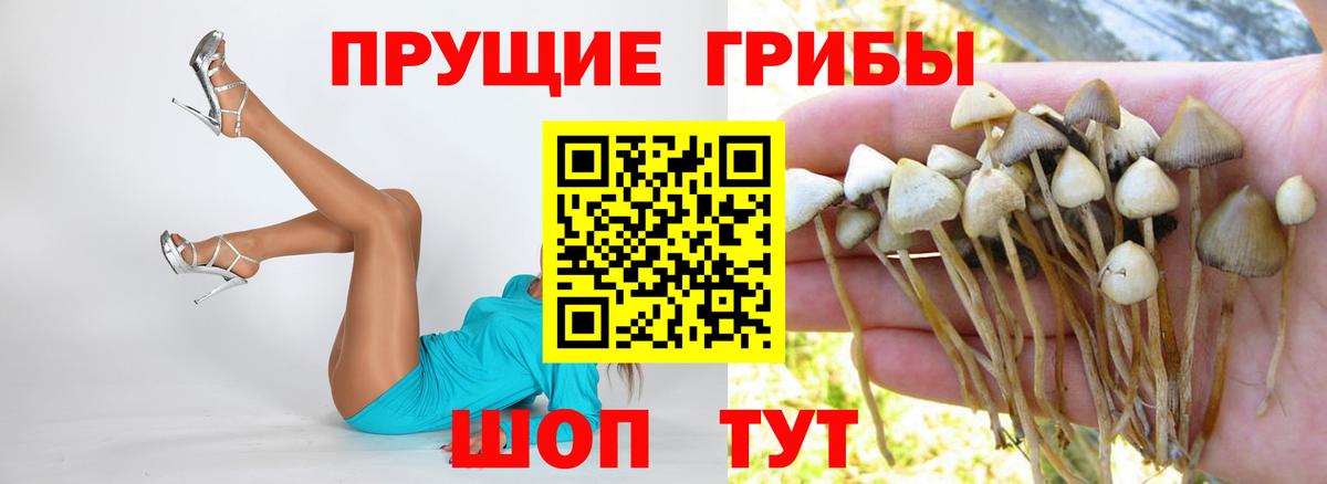Галлюциногенные грибы мицелий Рузаевка